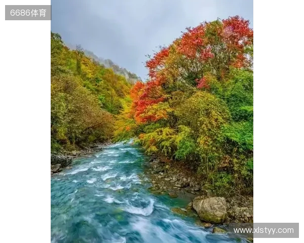 二郎山喇叭河赏秋之旅:立体彩林、野生动物、溪谷红石融为一体 二郎山喇叭河赏秋之旅:立体彩林、野生动物、溪谷红石融为一体